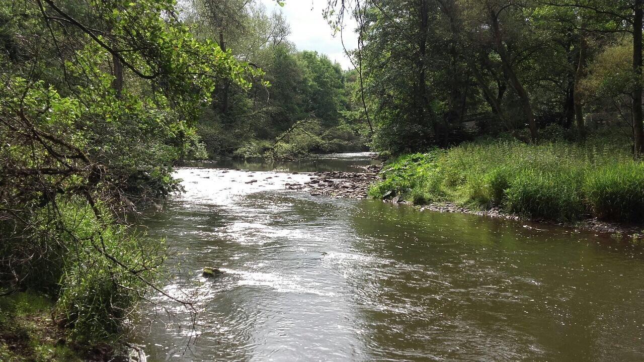 Am Fürstenweg Neuwied