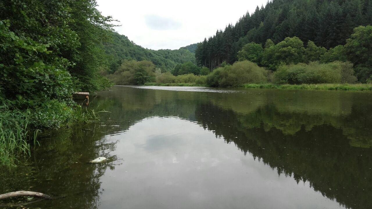 Am Fürstenweg Neuwied